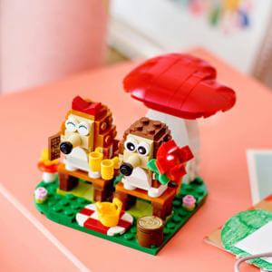 Lego Hedgehog Picnic Date 40711